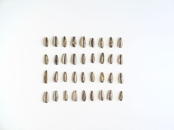 Büfé #8 – Sós ropogtatnivalók