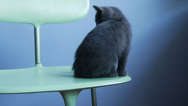 Kosmos | Chair in another way