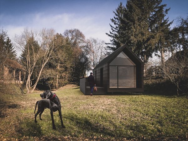 Köszi, korona! – 6. rész | Hello Wood