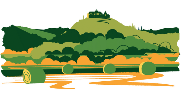 Essence of Hungary | Tokaj