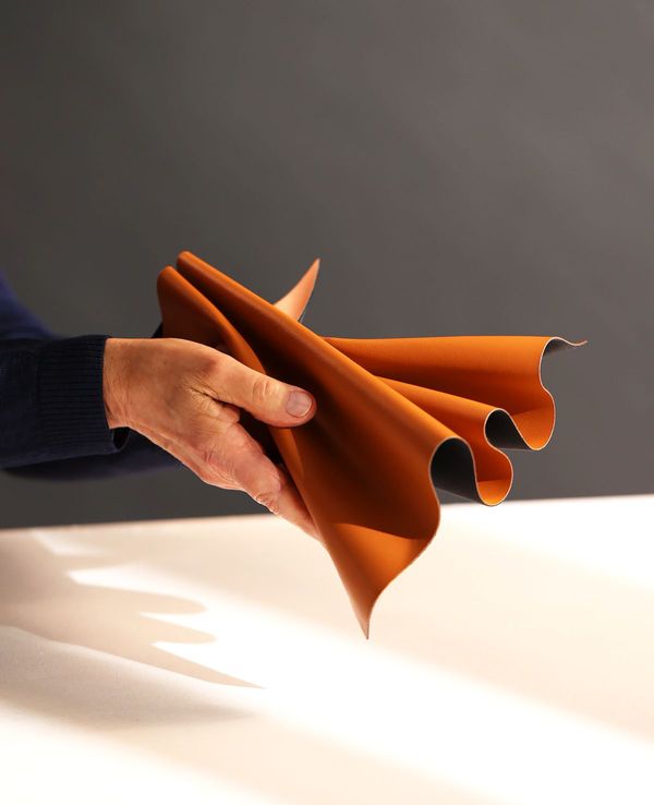 Leap brings the future closer with apple waste leather