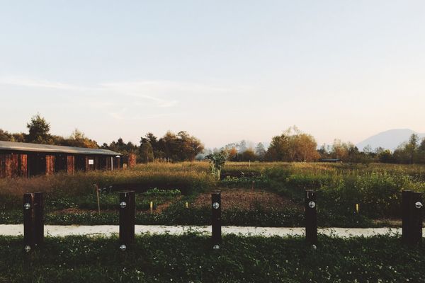 Rakova Jelša park | Ljubljana, Slovenia