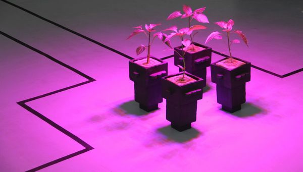 The art of active thinking about nature and technology