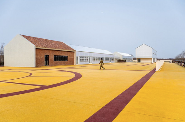 Egy soha véget nem érő aratás Shanghajból