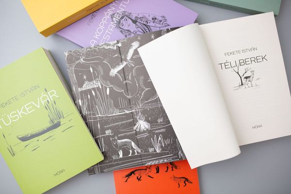 Viki Hitka gave a new look to the classics of István Fekete