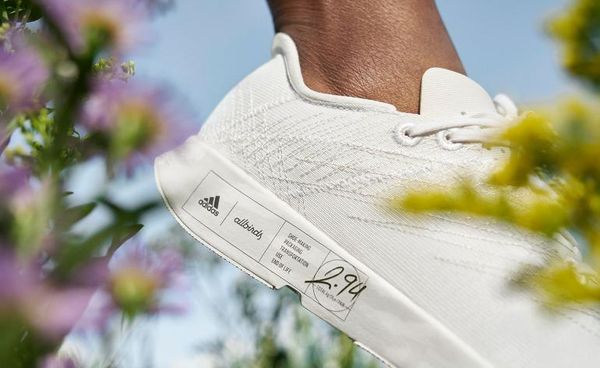 Sportcipő környezettudatos vásárlóknak | Adidas x Allbirds