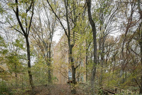 Fák között rejtőző luxuskabinok | TreeHouses