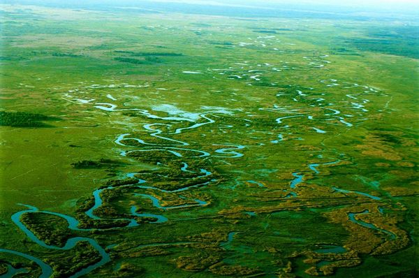 In the magical landscapes of Poland | Biebrzański National Park