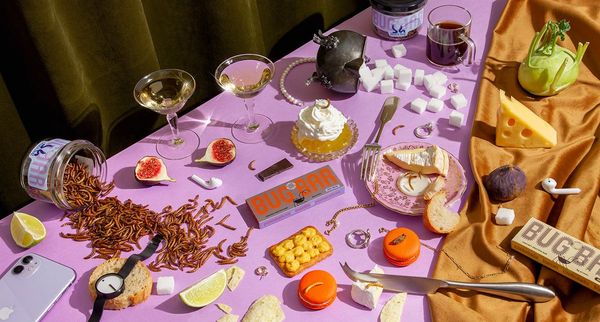 Edible beetles in vibrant colors | BUGBAG