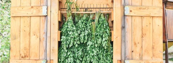 Meditáció a fűszerkert közepén | Maacraft x AU Workshop