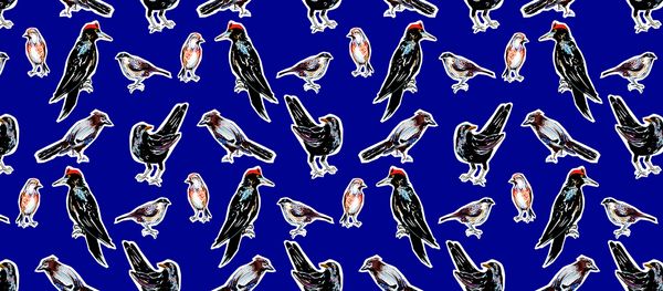 „As if I was reading a diary” | Balázs Viola