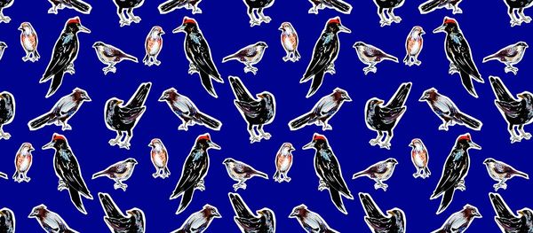 „Mintha naplót olvasnék” | Balázs Viola