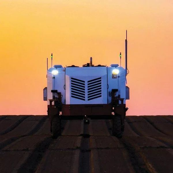 Autonomous weed killer robot