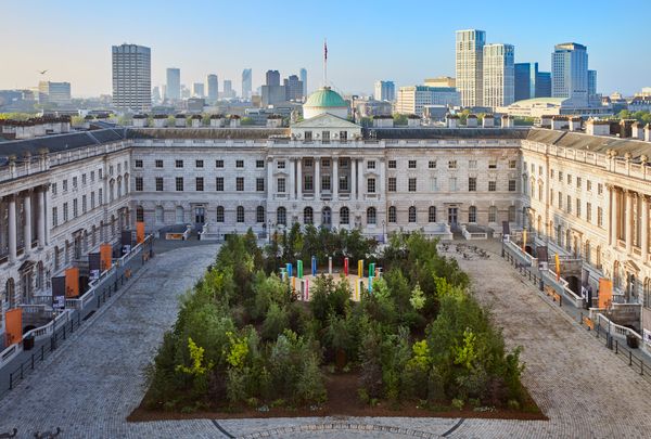 Es Devlin erdőt telepített a londoni Somerset House udvarába