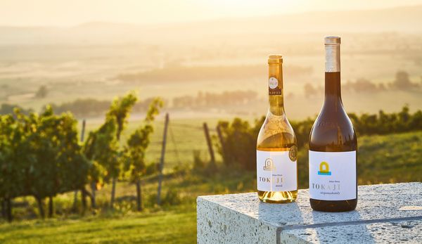 „Hagyni, hogy átadja az üzenetet”| Forrai Ferenc x Péter Pincészet