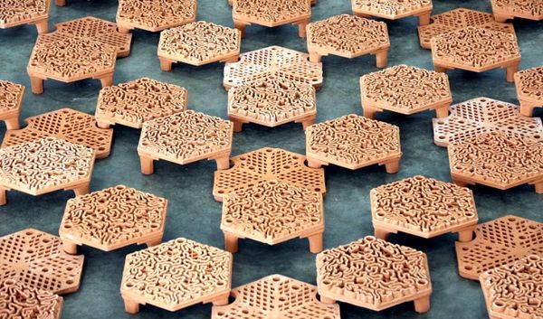 Corals are saved using 3D printing