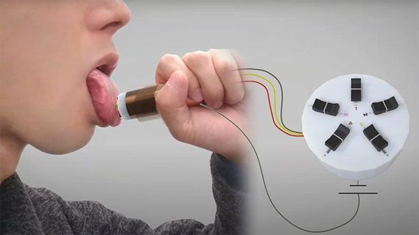 Ízérzékelés ételek nélkül