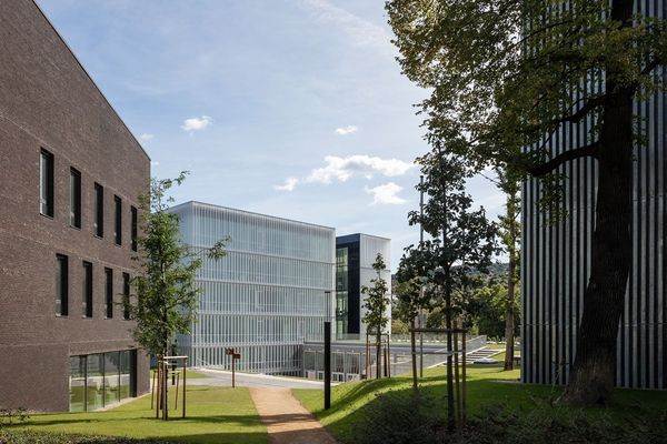 Barabási Albert-Lászlóval kutatja új piacait a MOME