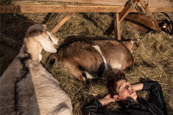 "Each goat has a name here"