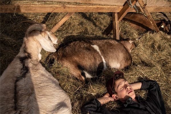 „Itt minden kecskének saját neve van”