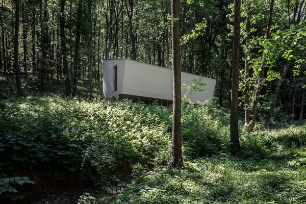 Floating forest cabin