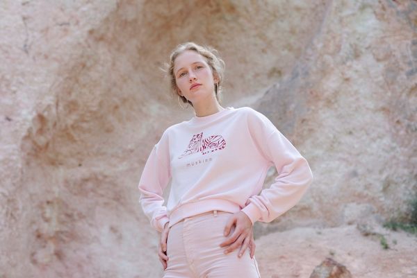 WAMP – The joy of creation