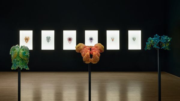 Az SFMOMA kiállítása Neri Oxman építészeti provokációit tárja fel