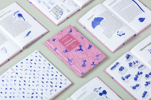 Belvárosi növényvilág