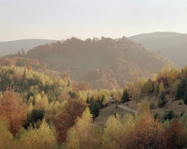 Carpathia | Nicholas J R White