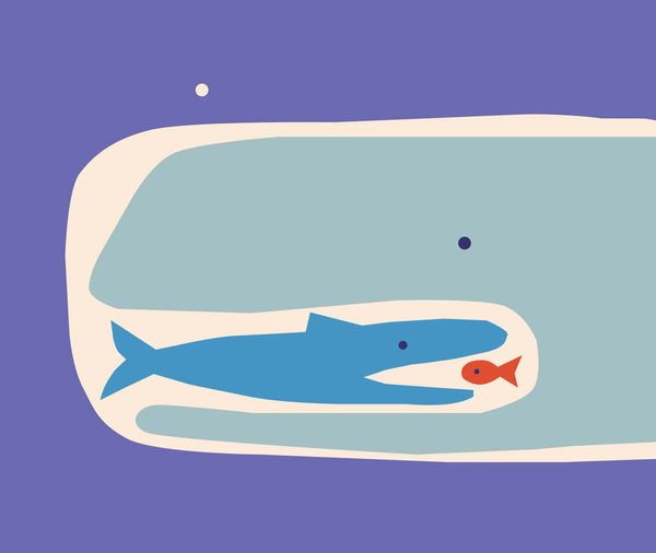 The parallel life of illustrations