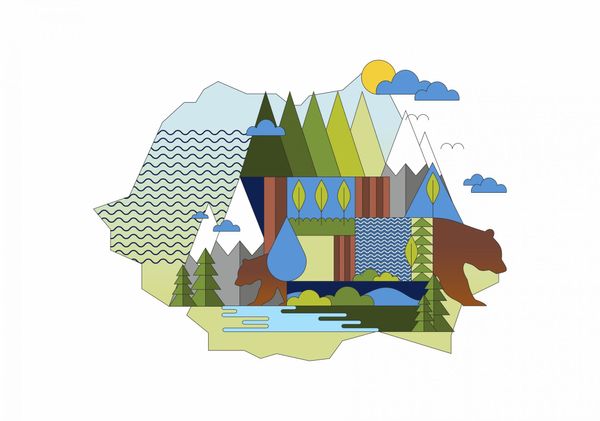 Bears and mafia | Secrets and future of Romanian forests