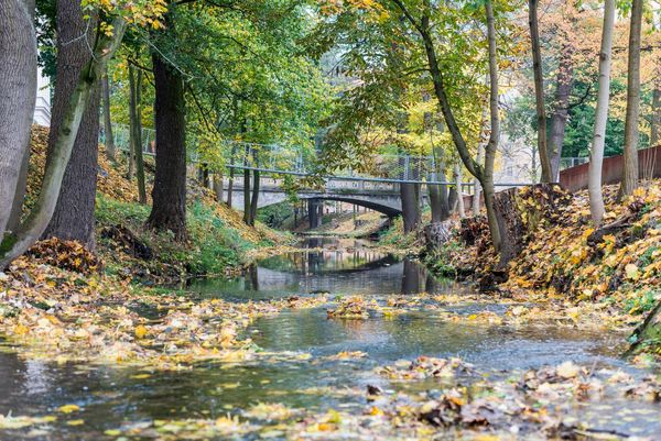 A természet ölelésében – mesés közparkok a régióból | TOP 5