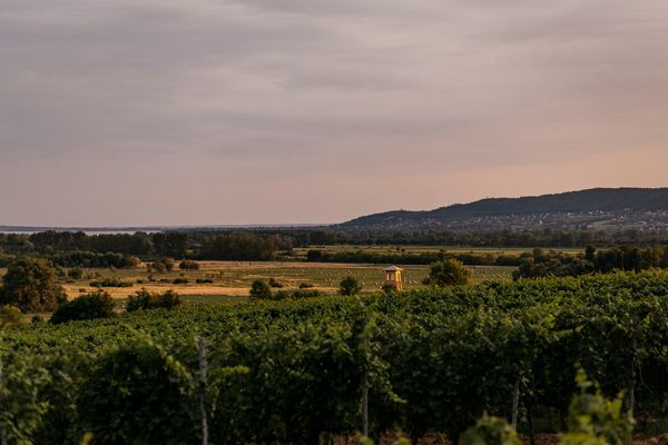 Essence of Hungary | Balaton