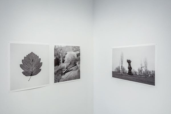 Brain Bar 2020 postponed