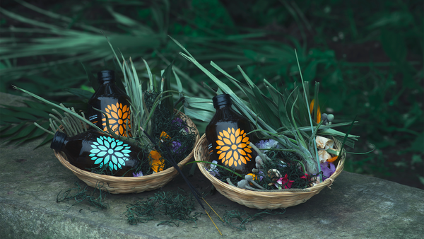 Bottled health | Vigo Kombucha