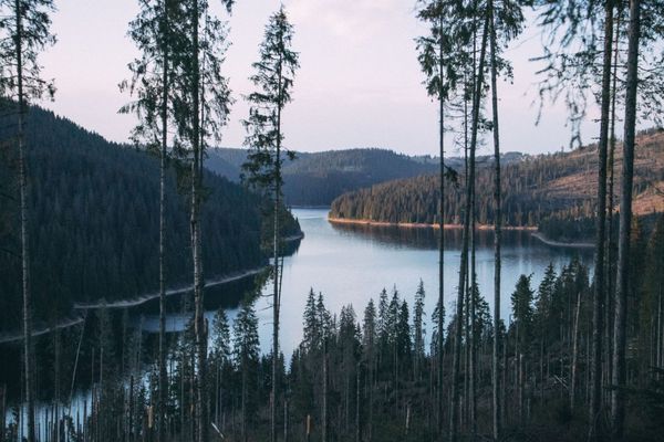 Chill & slow festival in the mountains of Transylvania | Wonderest