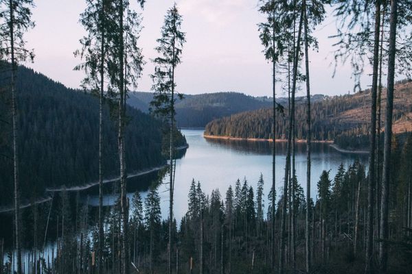 Chill & slow fesztivál az erdélyi hegyekben | Wonderest