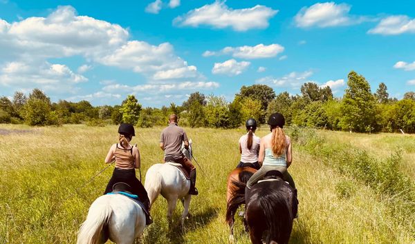 Wonderful horseback riding clubs in Eastern Europe | TOP 5