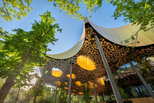 A Trónok harca elől hozott el fontos díjat a Magyar Zene Háza