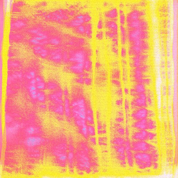 The confusion caused by the inability to perceive in the mythical forests of Ivona Tau