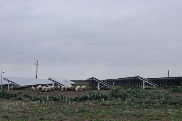 In and out of focus—photos of the Hungarian edgelands