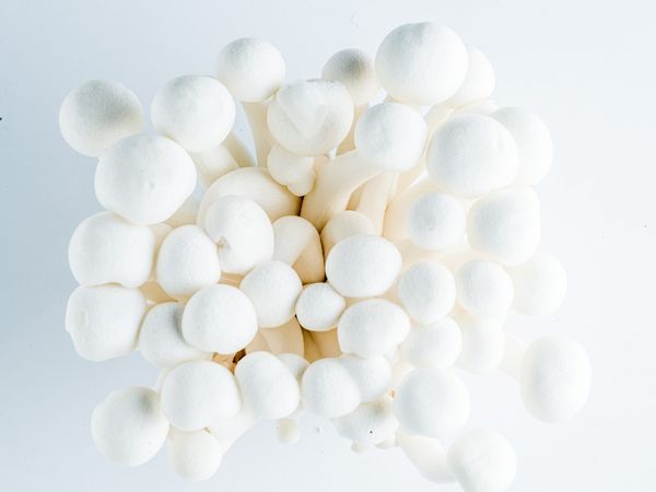 Twisted #4 – Ételfóbiák