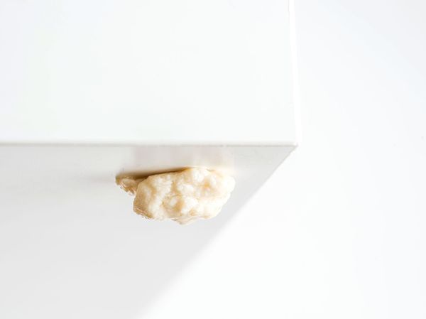 Twisted #3—Disgusting