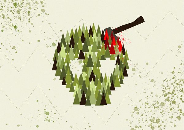 Europe’s contribution to global deforestation