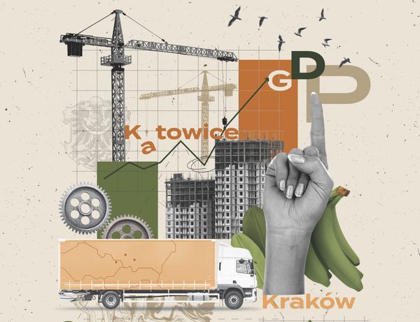 Megaregions in the CEE region