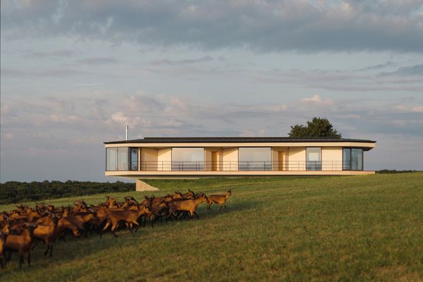 A house made of hemp that blends into its environment