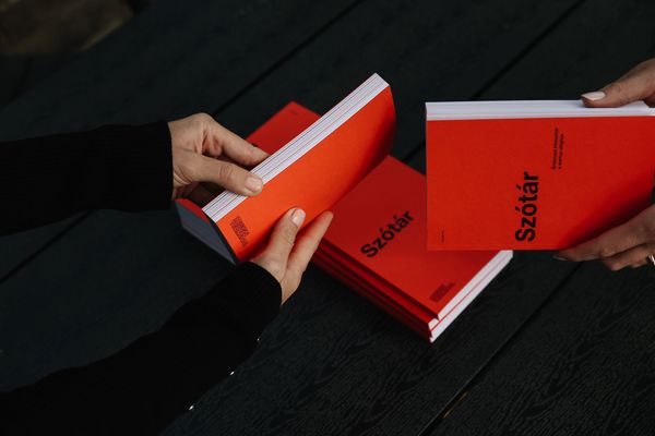 Startupper’s jargon in Hungarian? | The entrepreneur’s dictionary from Design Terminal is now available