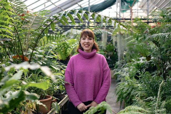 Az Urban Jungle Budapest egyfajta szellemiség | Interjú Hadobás Nórával