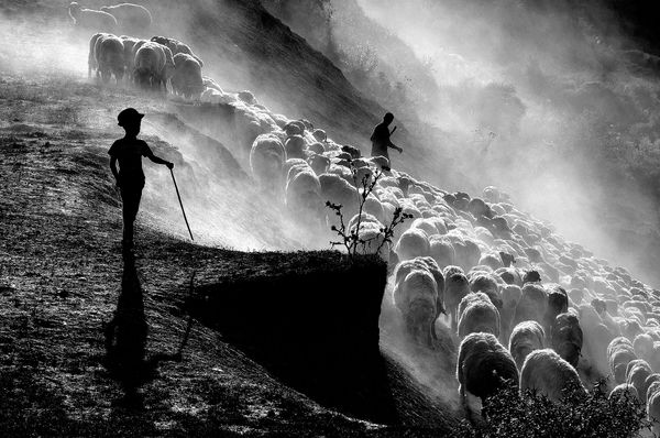 The Hungarian photographer on a winning spree