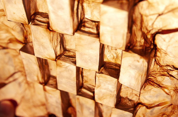 Biodesign that can reshape the future l TOP 5